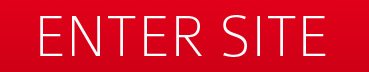 enter site