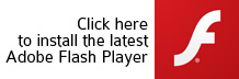 flash player